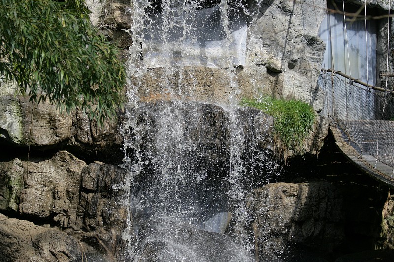 Fotoclubje Blijdorp 2008-143.jpg